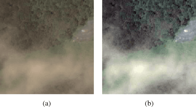 Figure 4 for Filmy Cloud Removal on Satellite Imagery with Multispectral Conditional Generative Adversarial Nets