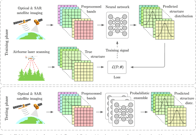 Figure 1 for Country-wide Retrieval of Forest Structure From Optical and SAR Satellite Imagery With Bayesian Deep Learning