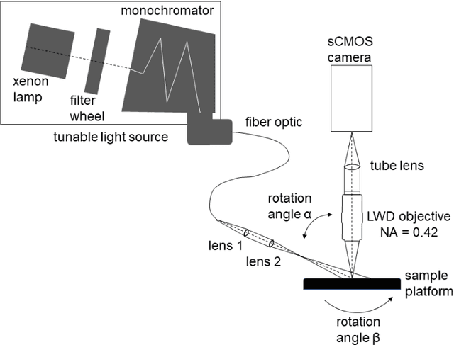 Figure 1 for Improved Spectral Imaging Microscopy for Cultural Heritage through Oblique Illumination