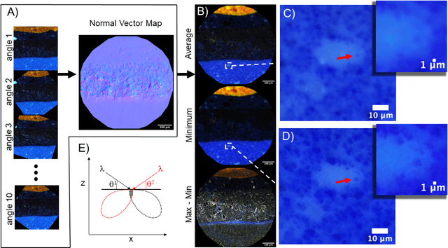 Figure 3 for Improved Spectral Imaging Microscopy for Cultural Heritage through Oblique Illumination
