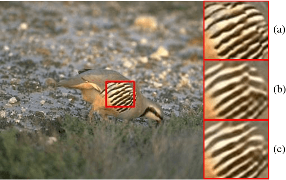 Figure 3 for Channel Attention and Multi-level Features Fusion for Single Image Super-Resolution