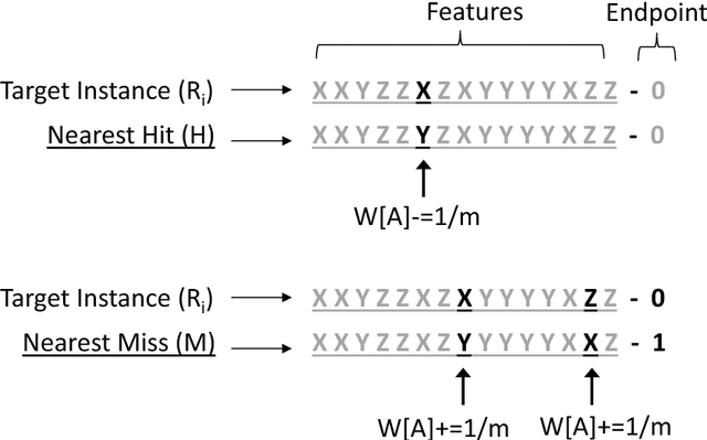 Figure 3 for Relief-Based Feature Selection: Introduction and Review
