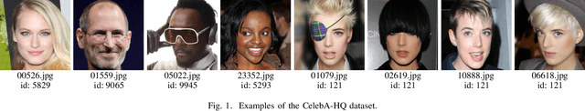 Figure 1 for Towards robustness under occlusion for face recognition