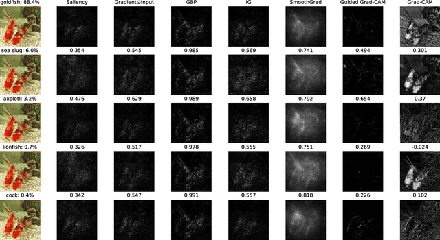 Figure 2 for Robust Explainability: A Tutorial on Gradient-Based Attribution Methods for Deep Neural Networks