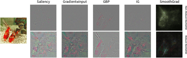 Figure 3 for Robust Explainability: A Tutorial on Gradient-Based Attribution Methods for Deep Neural Networks