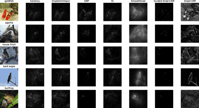 Figure 1 for Robust Explainability: A Tutorial on Gradient-Based Attribution Methods for Deep Neural Networks