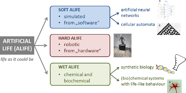 Figure 1 for Artificial life: sustainable self-replicating systems