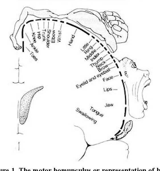 Figure 1 for Designing, Playing, and Performing with a Vision-based Mouth Interface