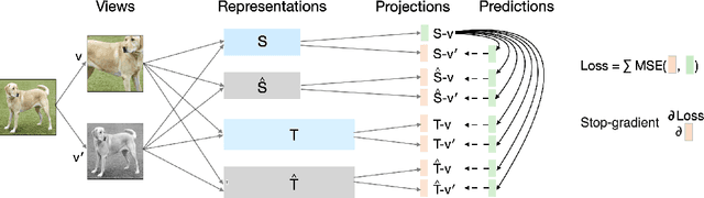 Figure 3 for Simple Distillation Baselines for Improving Small Self-supervised Models