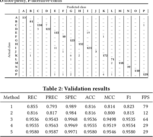 Figure 2 for The Medico-Task 2018: Disease Detection in the Gastrointestinal Tract using Global Features and Deep Learning