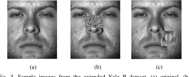 Figure 4 for A Robust Matching Pursuit Algorithm Using Information Theoretic Learning