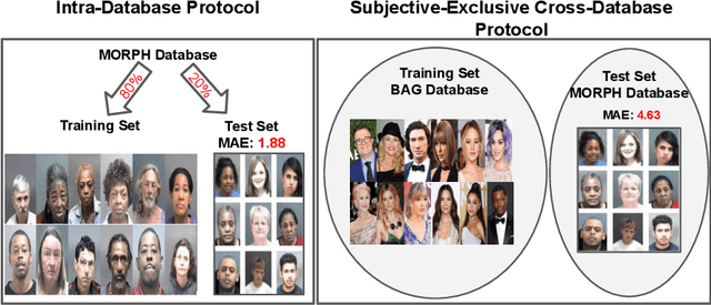 Figure 1 for A Flatter Loss for Bias Mitigation in Cross-dataset Facial Age Estimation