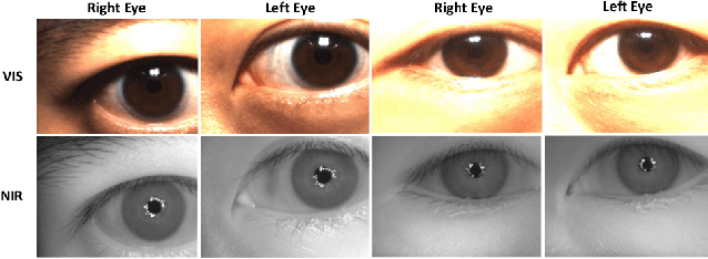 Figure 1 for Cross-Spectral Iris Matching Using Conditional Coupled GAN