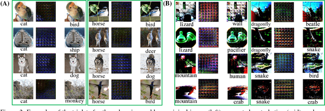 Figure 3 for Butterfly Effect: Bidirectional Control of Classification Performance by Small Additive Perturbation