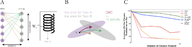 Figure 2 for Towards continual task learning in artificial neural networks: current approaches and insights from neuroscience