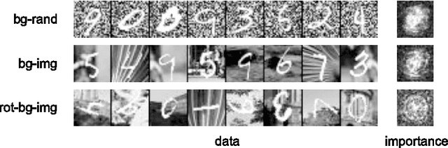 Figure 1 for Training Auto-encoders Effectively via Eliminating Task-irrelevant Input Variables