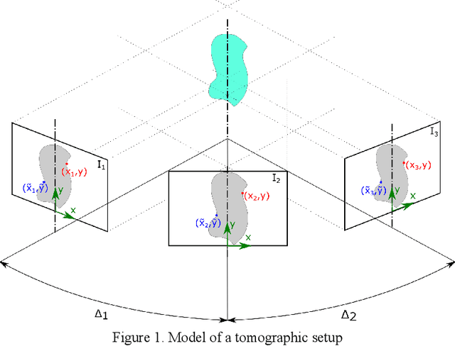Figure 1 for TomoSLAM: factor graph optimization for rotation angle refinement in microtomography