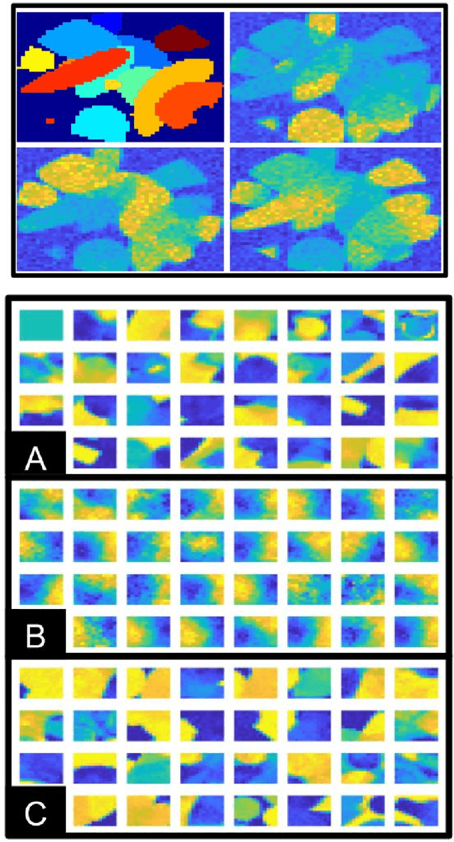 Figure 1 for Separable Dictionary Learning with Global Optimality and Applications to Diffusion MRI