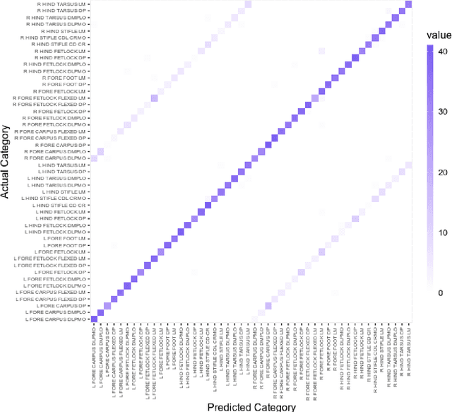 Figure 4 for Equine radiograph classification using deep convolutional neural networks