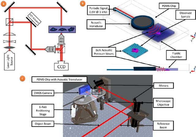 Figure 1 for Holographic Cell Stiffness Mapping Using Acoustic Stimulation