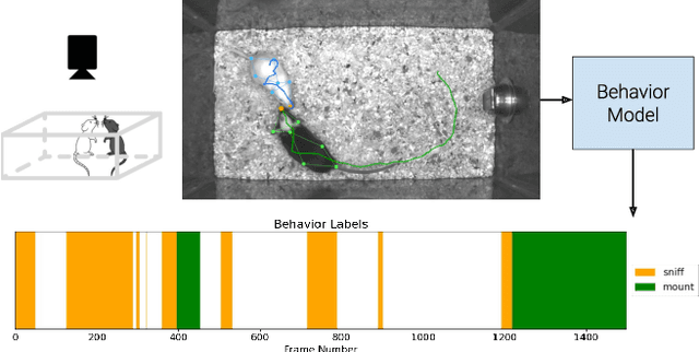 Figure 1 for The Multi-Agent Behavior Dataset: Mouse Dyadic Social Interactions