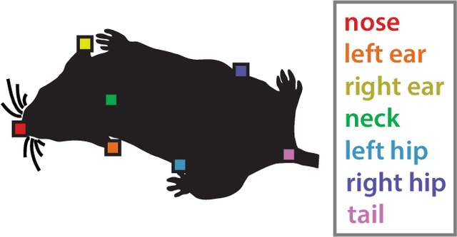 Figure 3 for The Multi-Agent Behavior Dataset: Mouse Dyadic Social Interactions