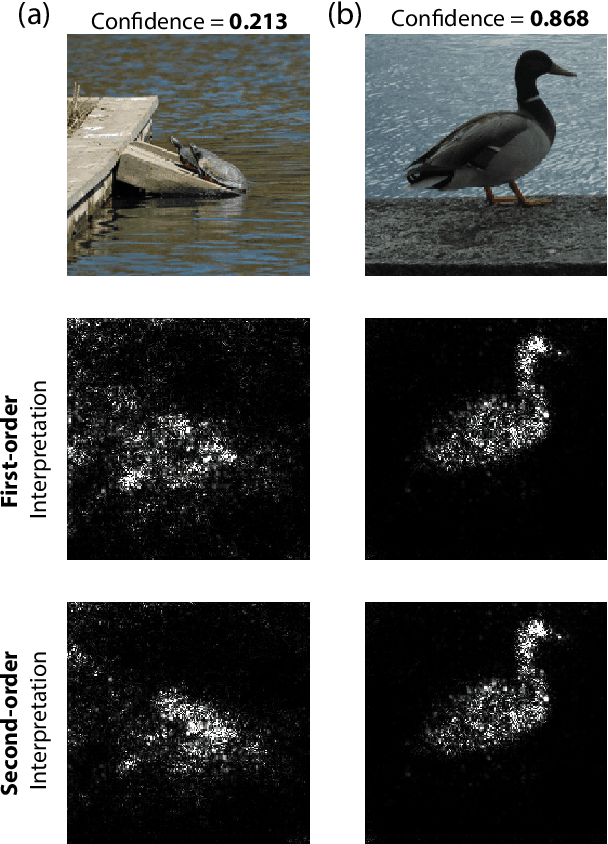 Figure 2 for Understanding Impacts of High-Order Loss Approximations and Features in Deep Learning Interpretation