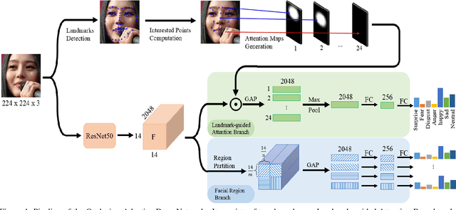 Figure 1 for Occlusion-Adaptive Deep Network for Robust Facial Expression Recognition