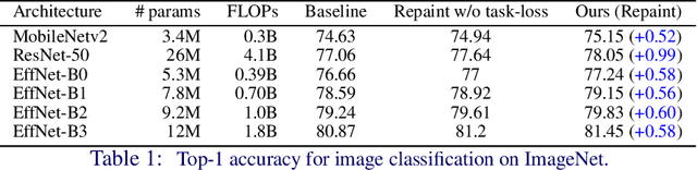 Figure 1 for Repaint: Improving the Generalization of Down-Stream Visual Tasks by Generating Multiple Instances of Training Examples