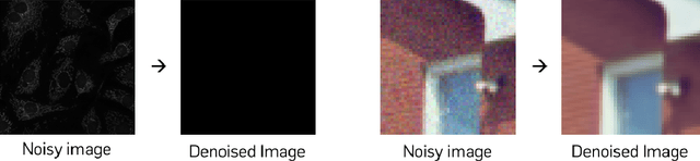 Figure 1 for Zero-shot Blind Image Denoising via Implicit Neural Representations