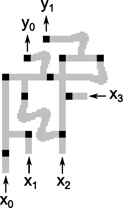 Figure 3 for Time-dependent wave selection for information processing in excitable media