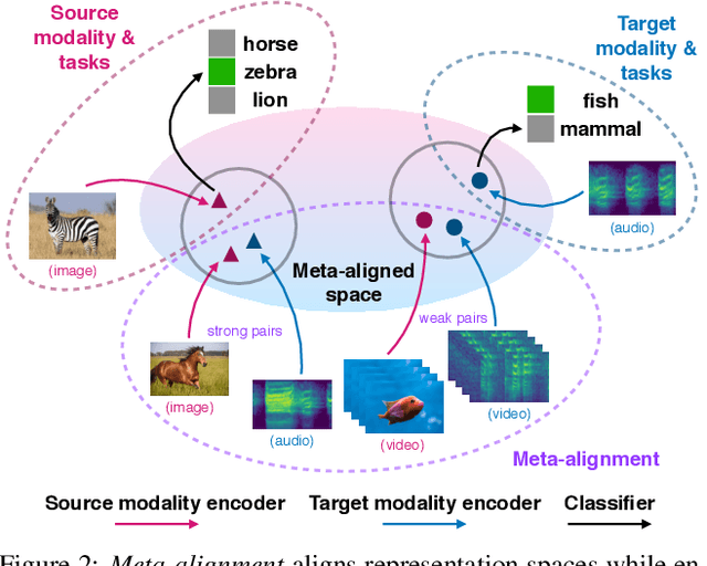 Figure 3 for Cross-Modal Generalization: Learning in Low Resource Modalities via Meta-Alignment