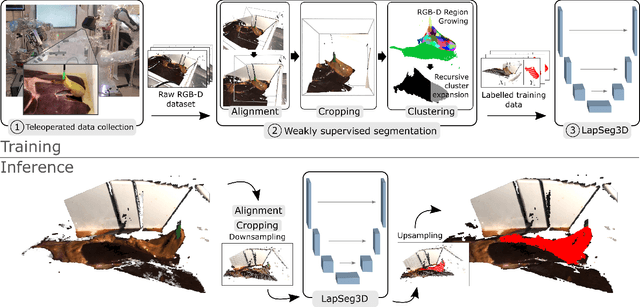 Figure 2 for LapSeg3D: Weakly Supervised Semantic Segmentation of Point Clouds Representing Laparoscopic Scenes