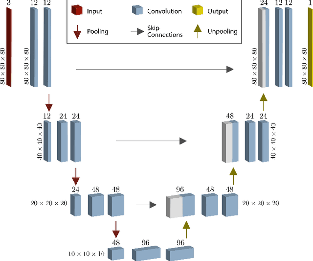 Figure 3 for LapSeg3D: Weakly Supervised Semantic Segmentation of Point Clouds Representing Laparoscopic Scenes