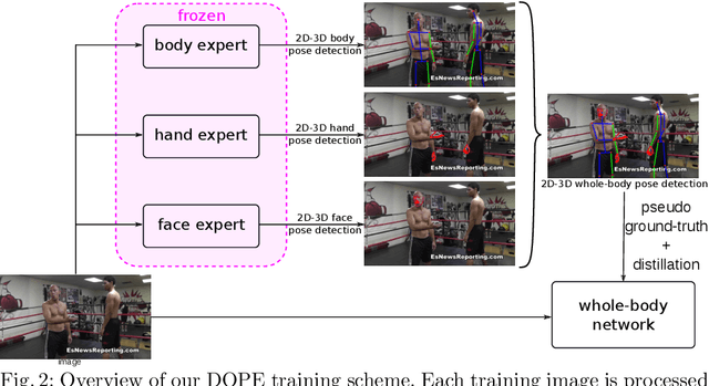 Figure 2 for DOPE: Distillation Of Part Experts for whole-body 3D pose estimation in the wild