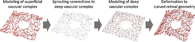 Figure 3 for Physiology-based simulation of the retinal vasculature enables annotation-free segmentation of OCT angiographs