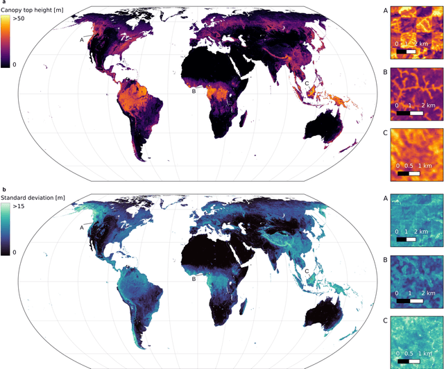 Figure 2 for A high-resolution canopy height model of the Earth