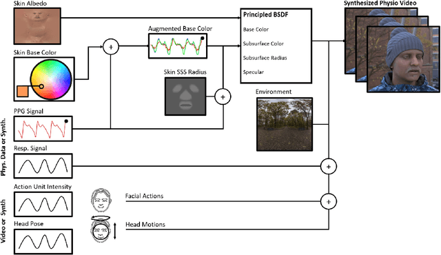Figure 2 for SCAMPS: Synthetics for Camera Measurement of Physiological Signals
