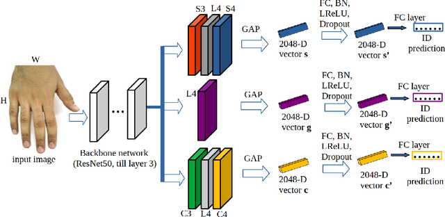 Figure 3 for Multi-Branch with Attention Network for Hand-Based Person Recognition