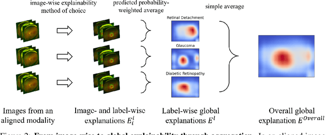 Figure 2 for Global explainability in aligned image modalities