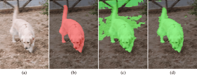Figure 1 for In defense of OSVOS