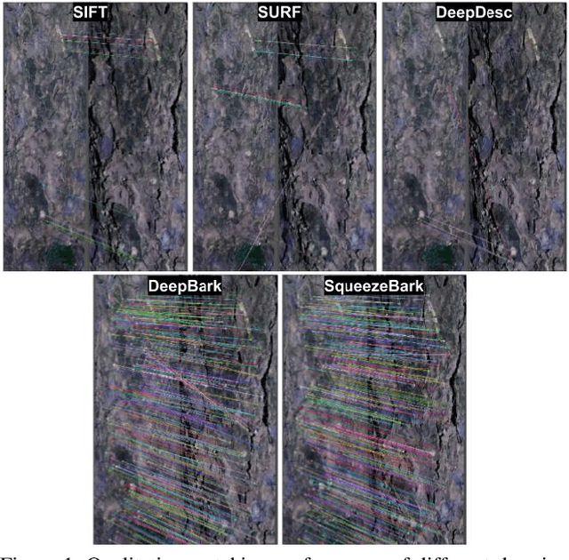 Figure 1 for Tree bark re-identification using a deep-learning feature descriptor