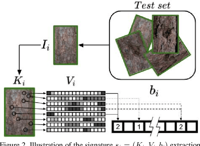 Figure 3 for Tree bark re-identification using a deep-learning feature descriptor