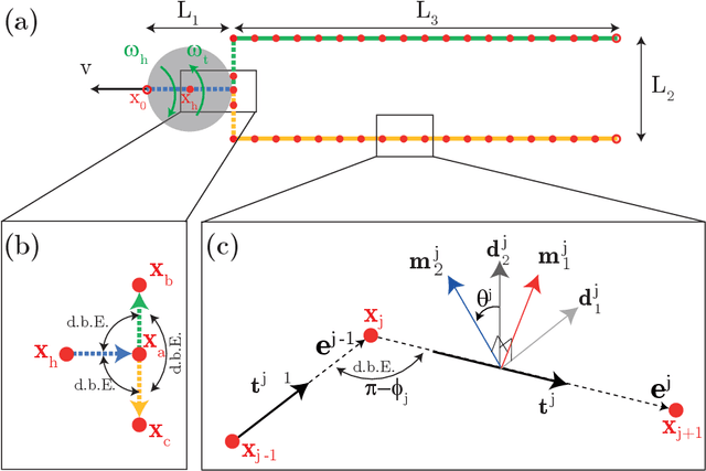 Figure 3 for Modeling the locomotion of articulated soft robots in granular medium