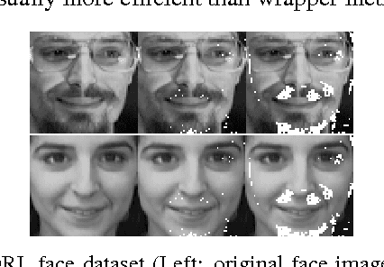 Figure 1 for Discovering Support and Affiliated Features from Very High Dimensions
