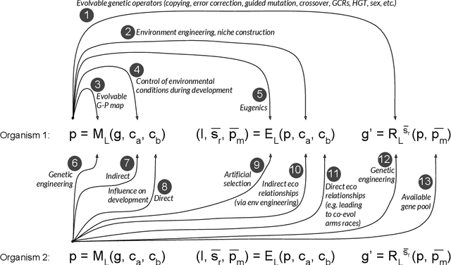 Figure 4 for Routes to Open-Endedness in Evolutionary Systems