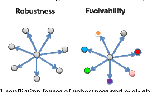 Figure 1 for Degenerate neutrality creates evolvable fitness landscapes