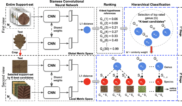 Figure 3 for Two-View Fine-grained Classification of Plant Species