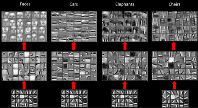 Figure 2 for Learning Shape Features and Abstractions in 3D Convolutional Neural Networks for Detecting Alzheimer's Disease