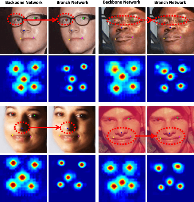 Figure 2 for Facial Landmark Machines: A Backbone-Branches Architecture with Progressive Representation Learning